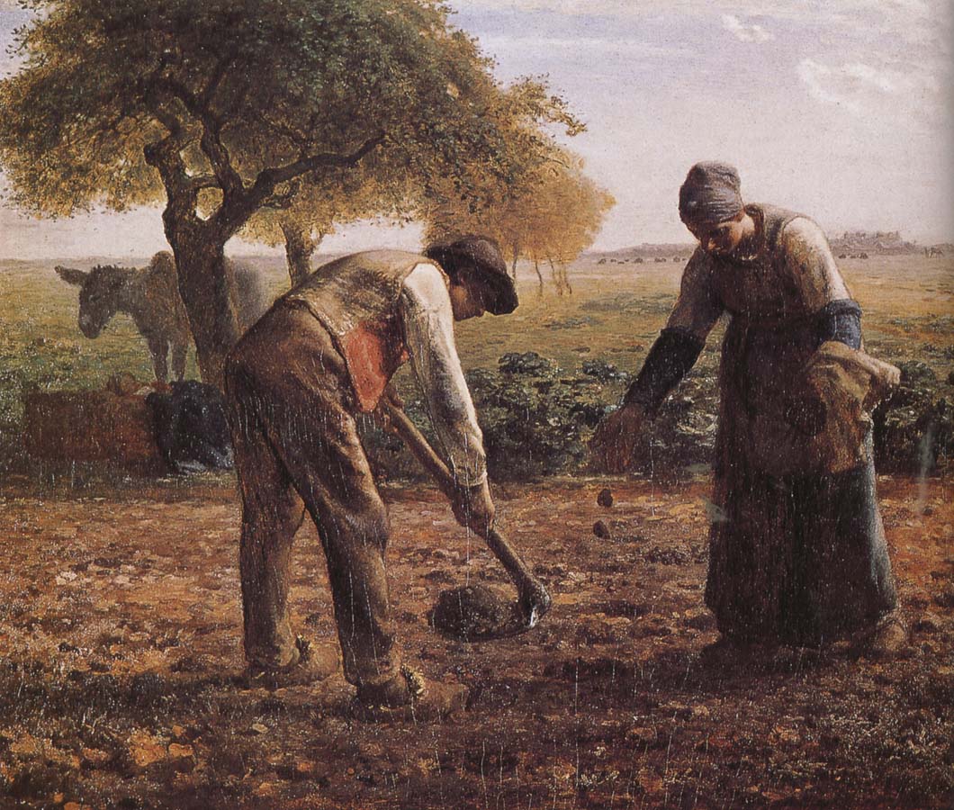 Jean Francois Millet Sower